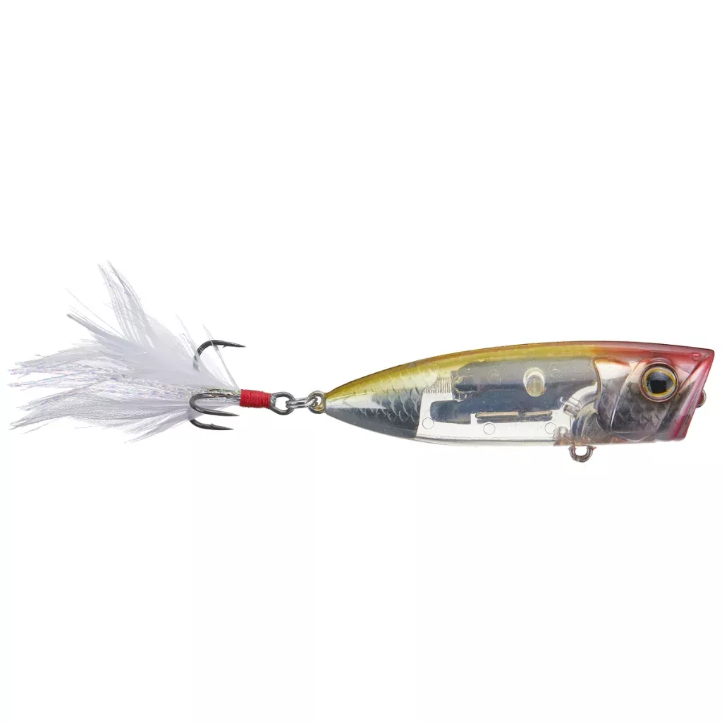 Shimano World Pop Flashboost 69F Popper