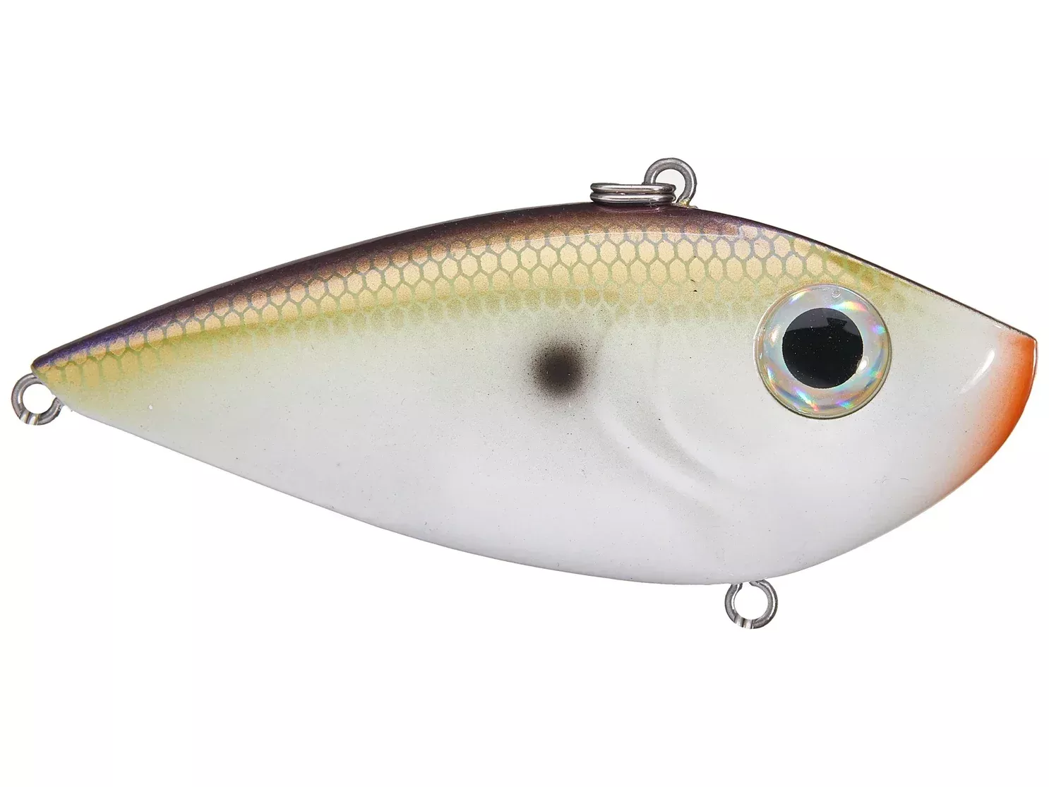 SK RedEye Shad Tungsten 2Tap