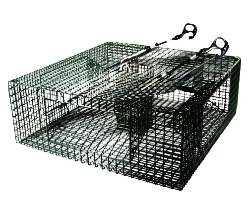 SMI 7/8″” Wire Shrimp Pot 19022