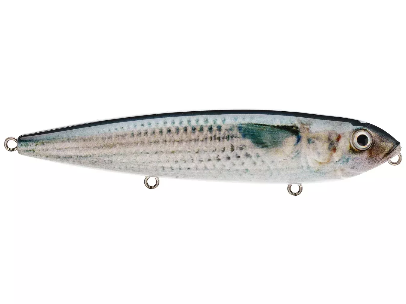 Strike King Saltwater Sexy Dawg Hard Knock