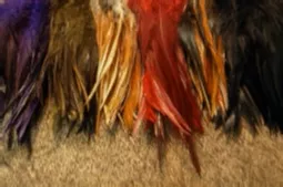 Strung Saddles dyed over Brown