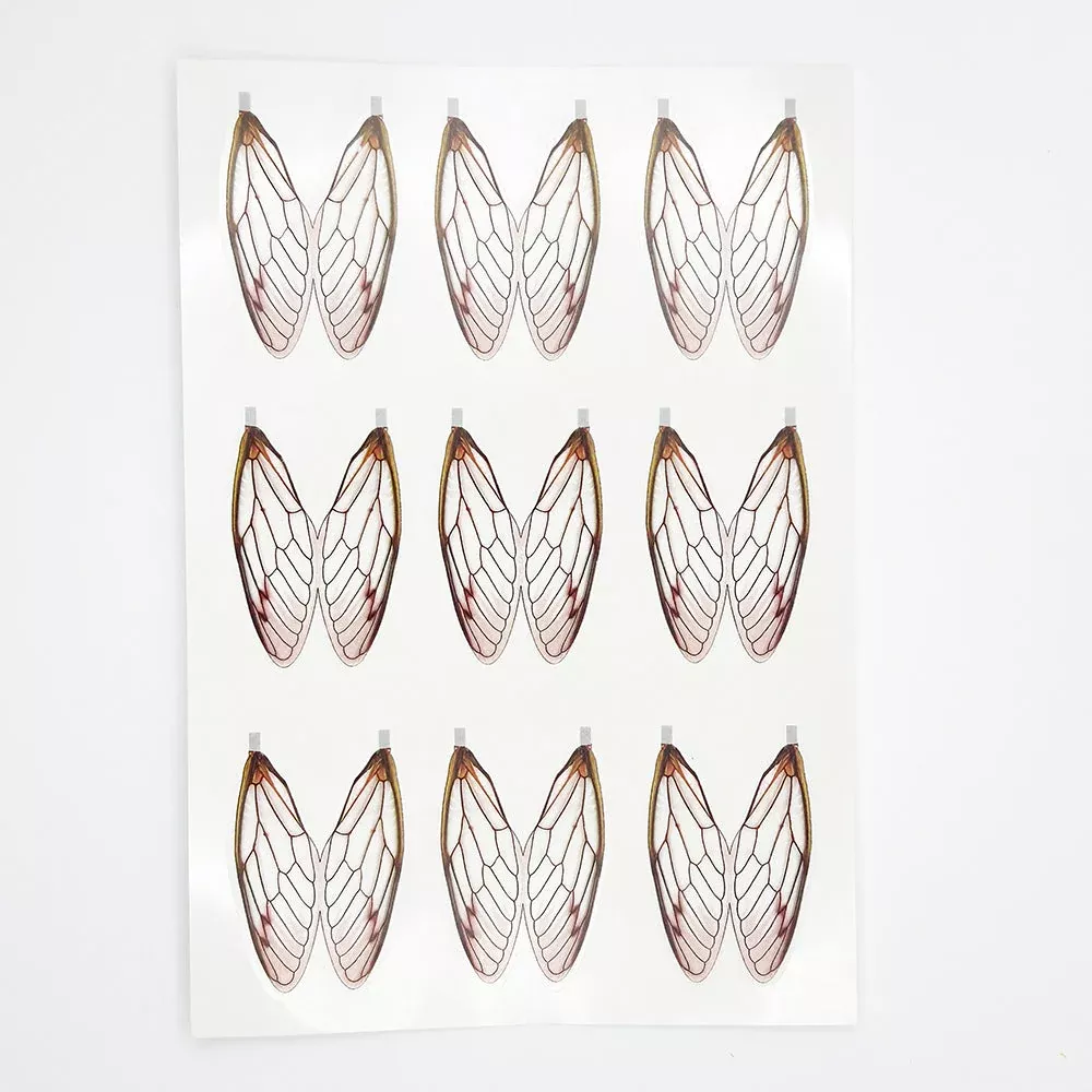 Surface Seducer Cicada Wings