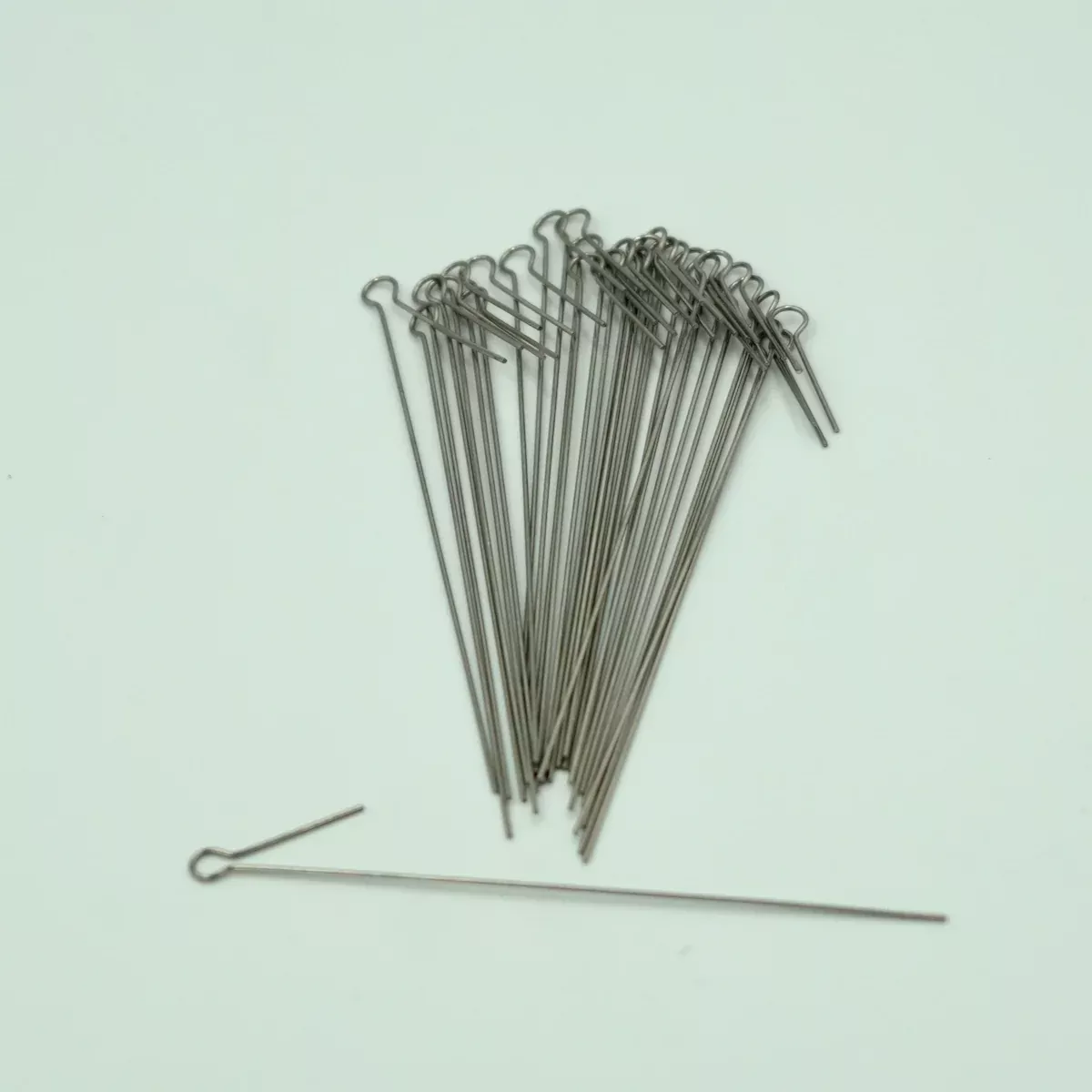 Tail Feather Spines 24 Pack