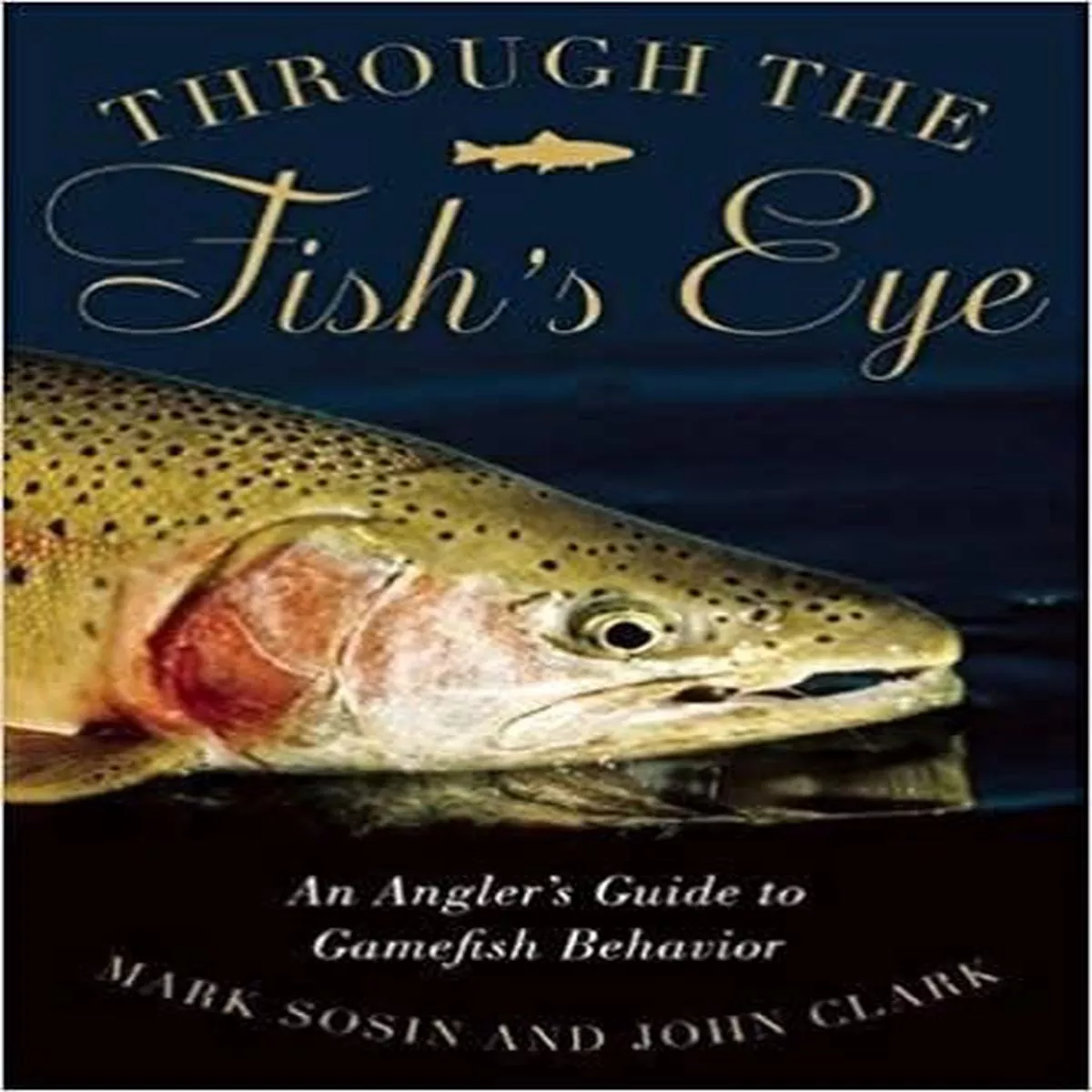 Through The Fish's Eye by Mark Sosin and John Clark