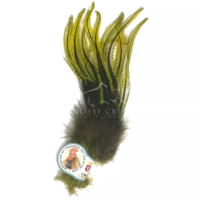 UV2 Perdigon Coq De Leon Feathers