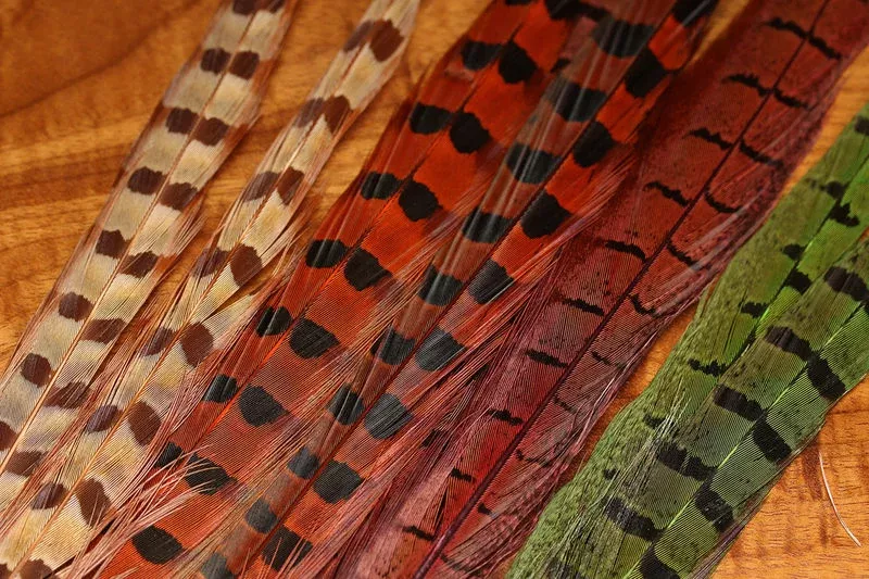 UV2 Ringneck Pheasant Tail Feather
