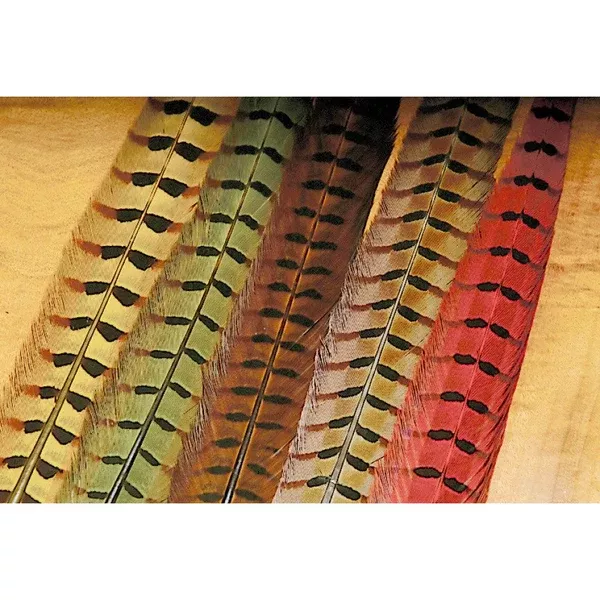 Wapsi Ringneck Pheasant Tail