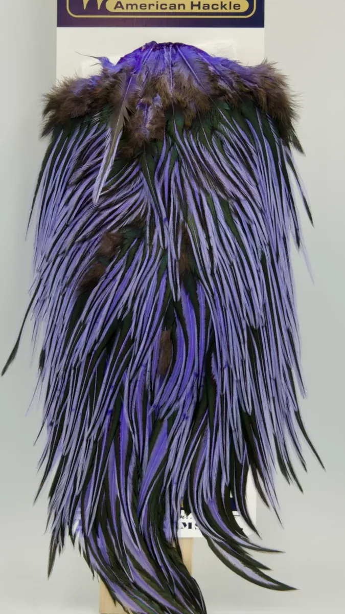 Whiting American Rooster Saddle Black Laced White Variations