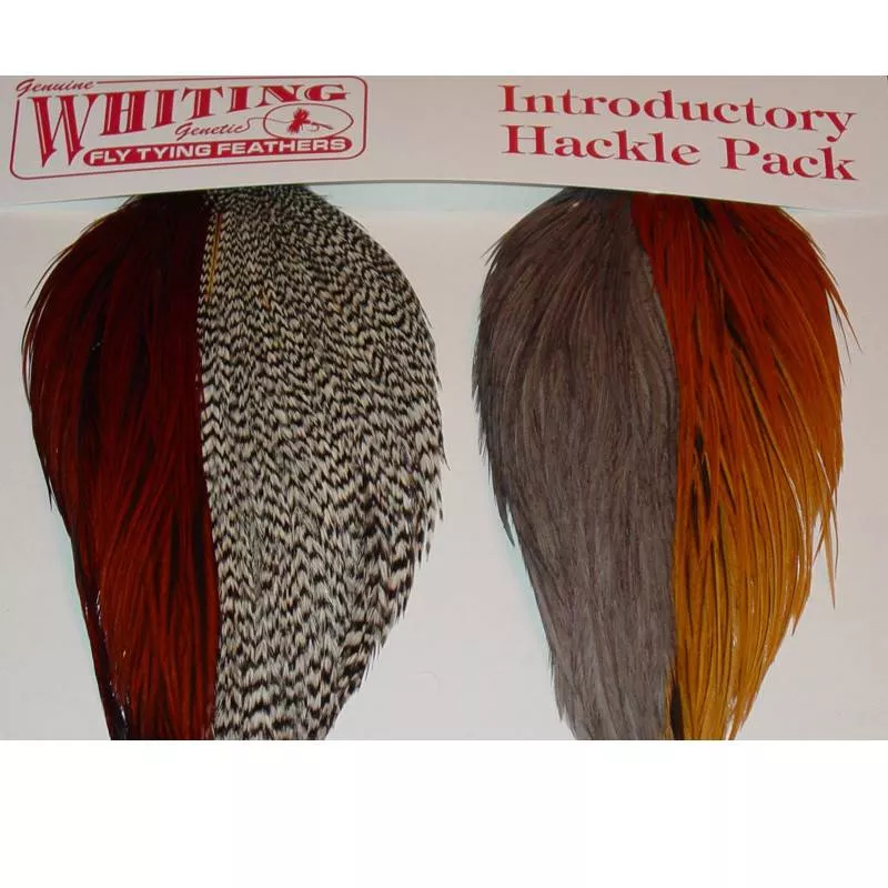 Whiting Introductory Hackle Pack