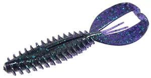 ZOOM Z Craw
